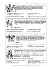 Textverständnis-Training-B-1.pdf
